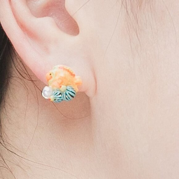 Les NEREIDES 🪸 Coral fish 🐠 sruds - Picture 6 of 6